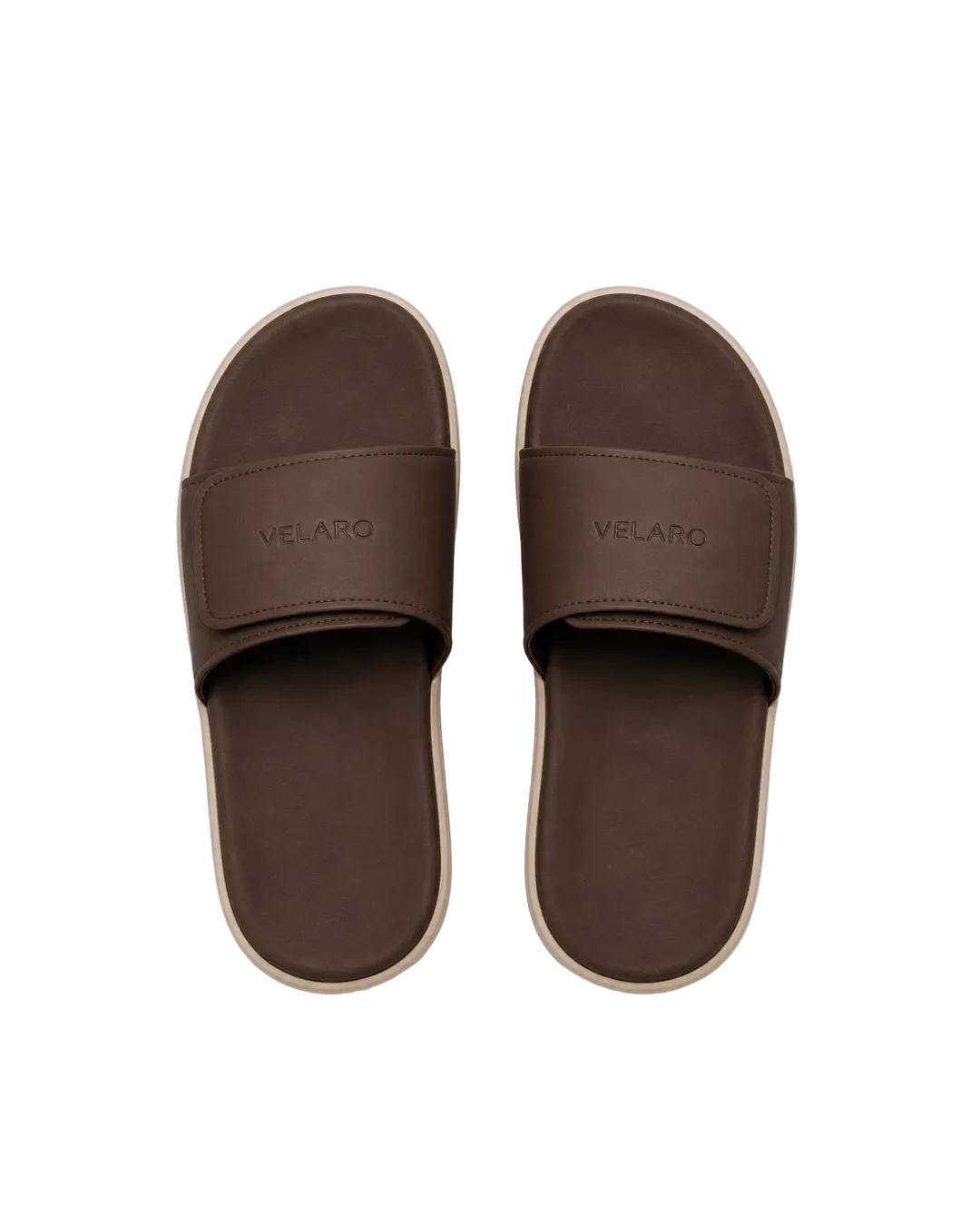 Velaro Phantom Brown